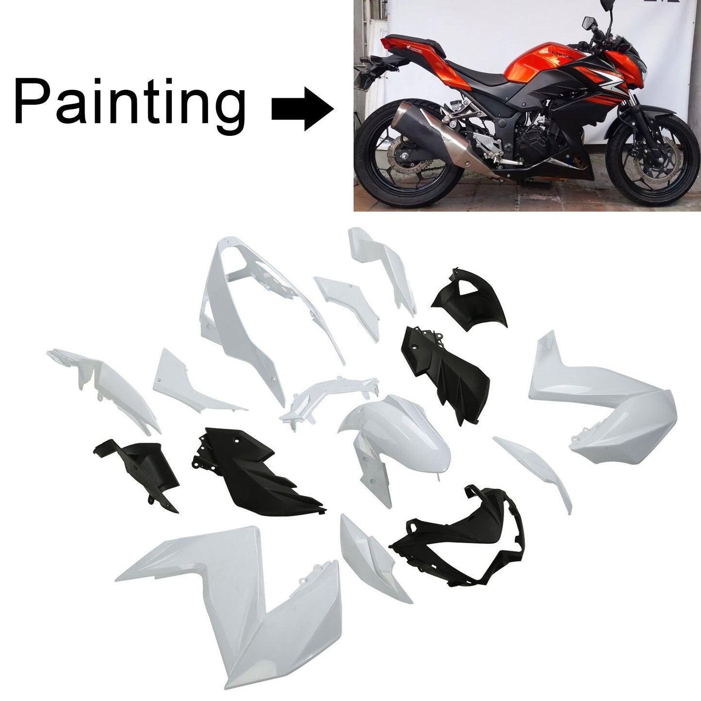 2015-2016 Kawasaki Z250 Z300 Fairing Kit