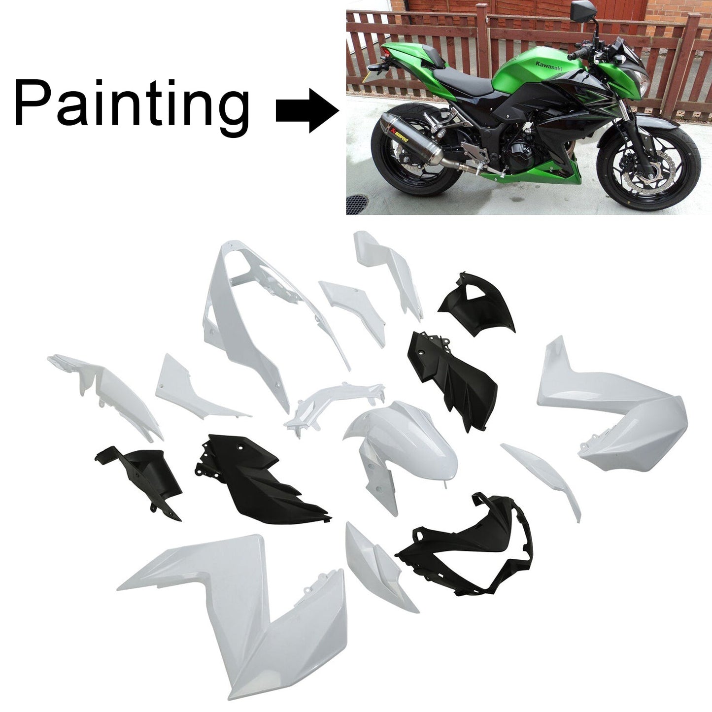 2015-2016 Kawasaki Z250 Z300 Fairing Kit
