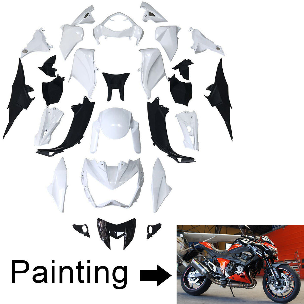 2013-2018 Kawasaki Z800 Fairing Kit