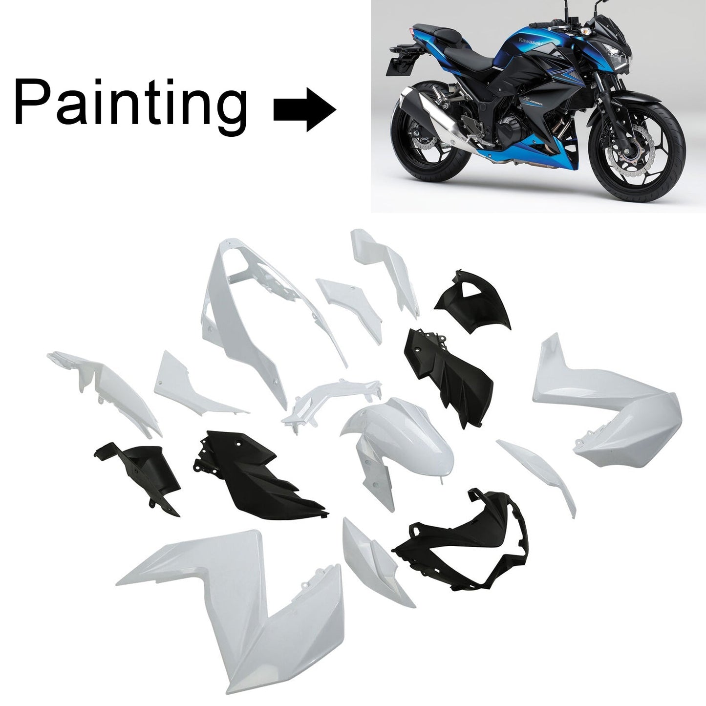 2015-2016 Kawasaki Z250 Z300 Fairing Kit