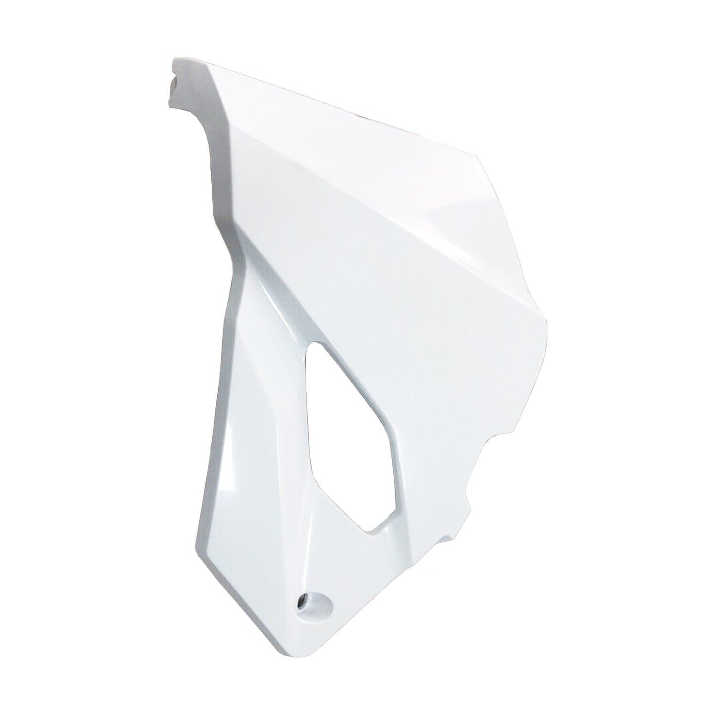 2020-2021 Kawasaki Ninja ZX-4R ZX-4RR ZX-25R Fairing Injection Molding Unpainted