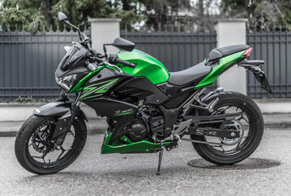 2015-2016 Kawasaki Z250 Z300 Fairing Kit