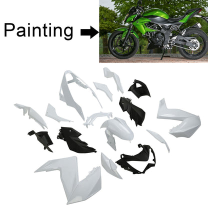 2015-2016 Kawasaki Z250 Z300 Fairing Kit