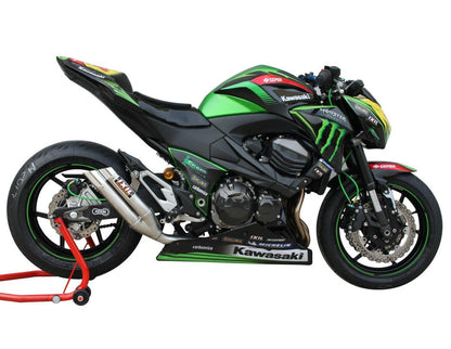 2013-2018 Kawasaki Z800 Fairing Kit