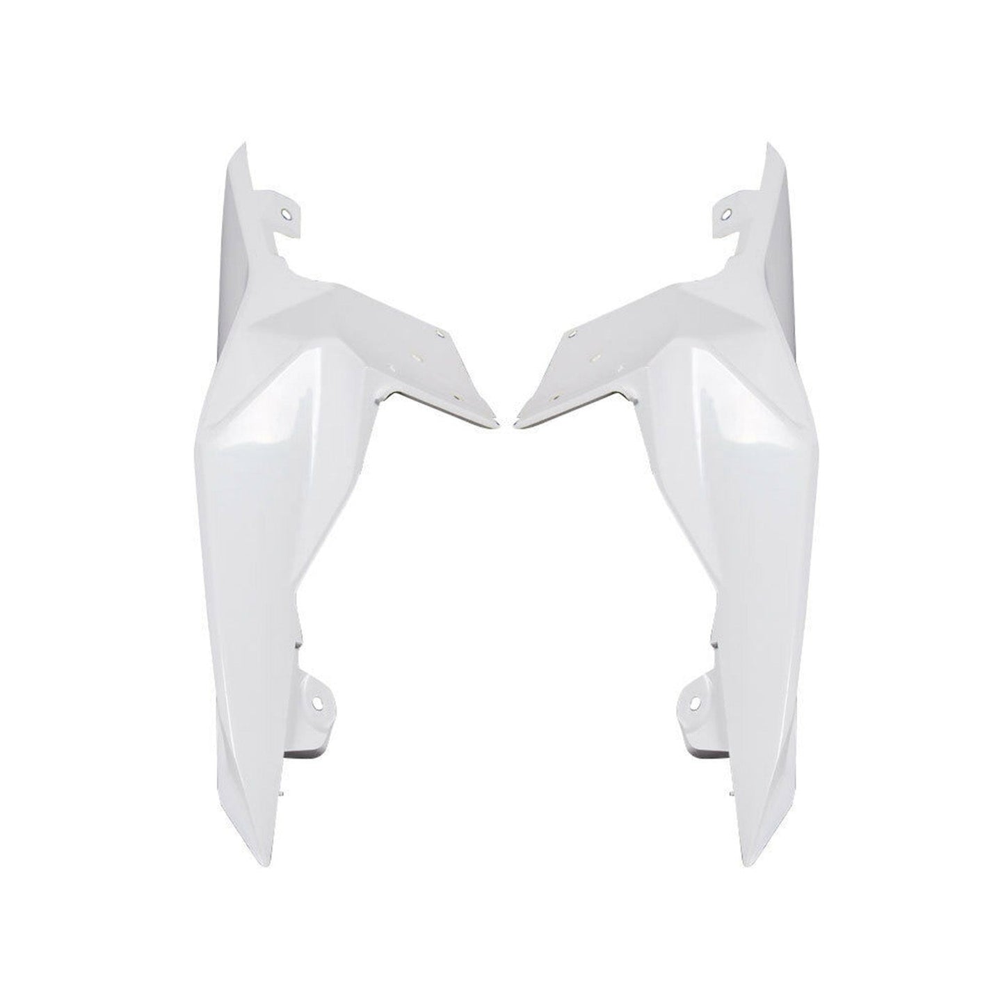 2014-2017 BMW S1000R Fairing Injection Molding Unpainted