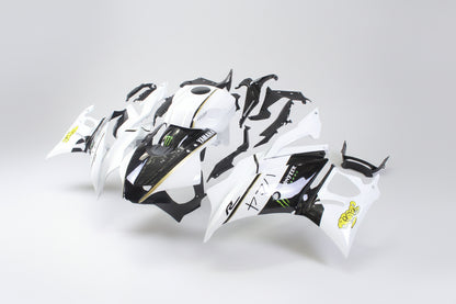 Motorcycle bodywork with branding on a white background