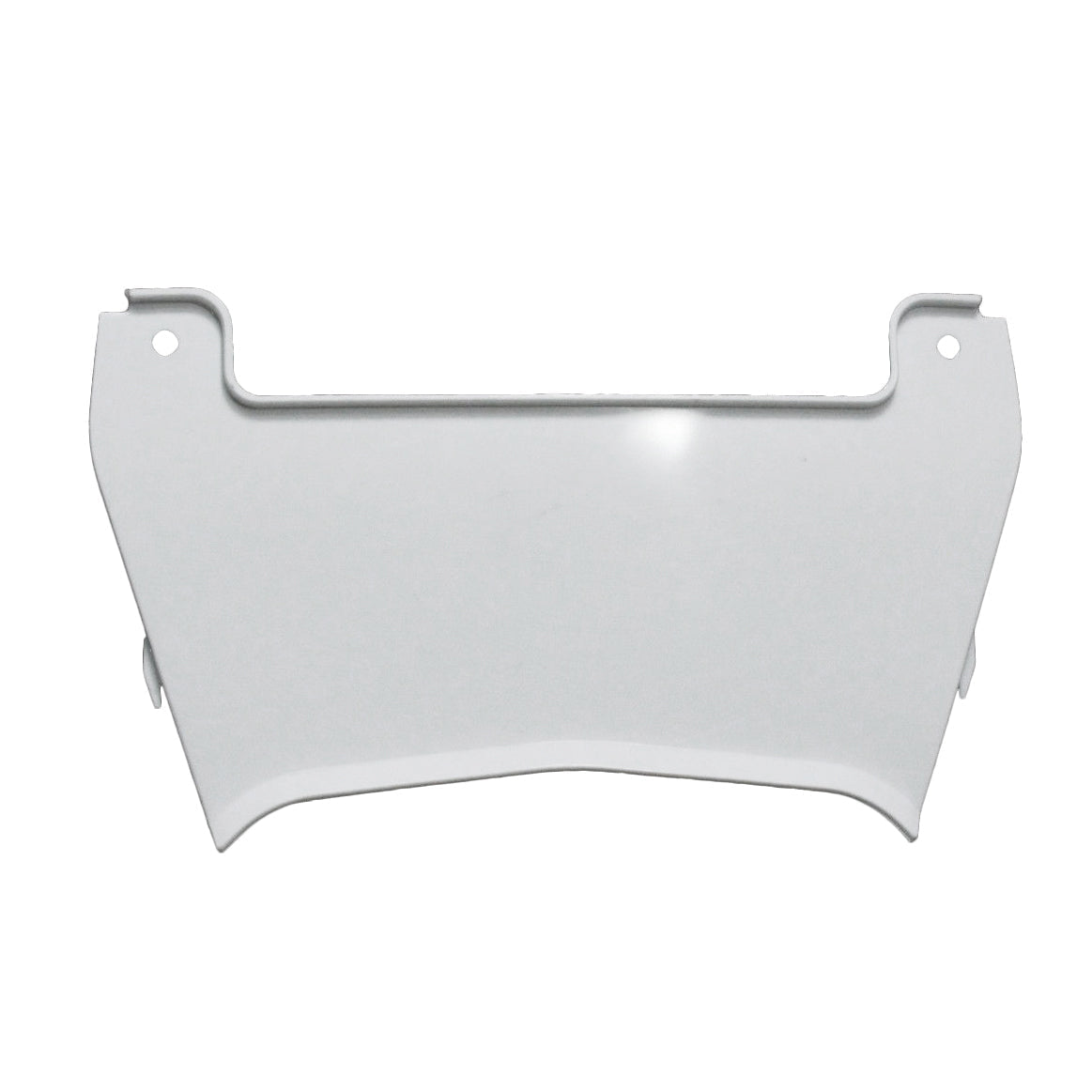 2004-2005 Fairings Kawasaki ZX10R Ninja  Primal only Unpainted Generic