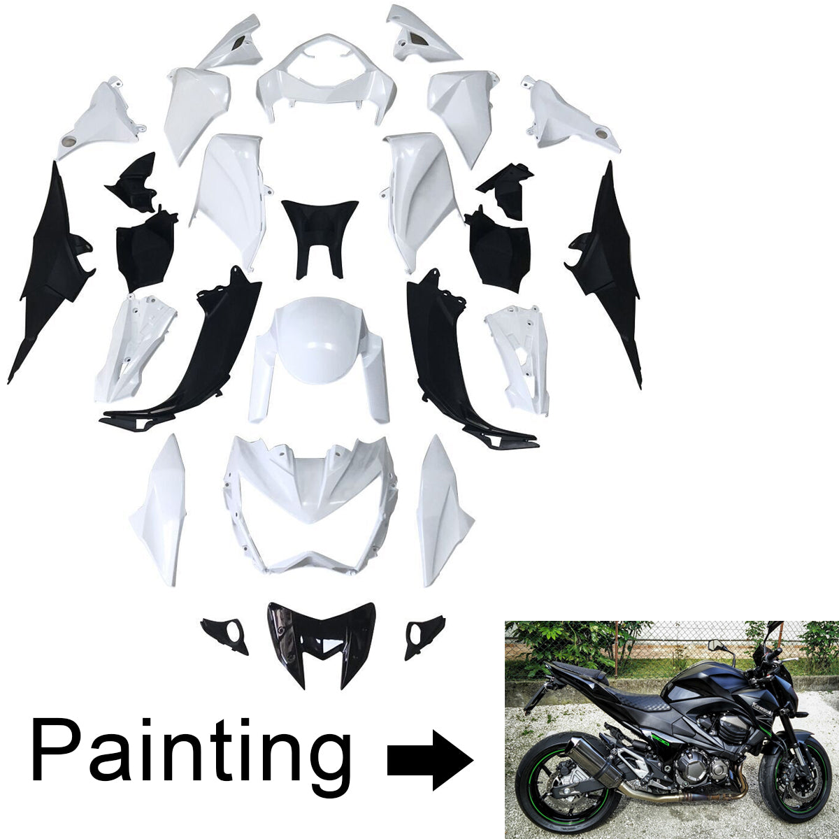 2013-2018 Kawasaki Z800 Fairing Kit