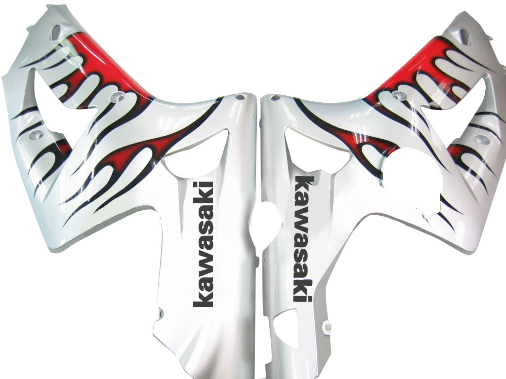 2003-2004 Fairings Kawasaki ZX6R 636 Silver & Red Flame Ninja  Generic