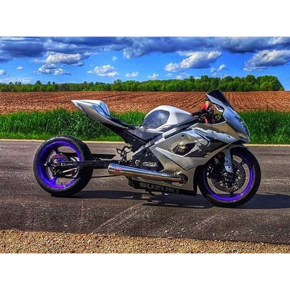 2005-2006 Suzuki GSXR1000 Fairing Kit