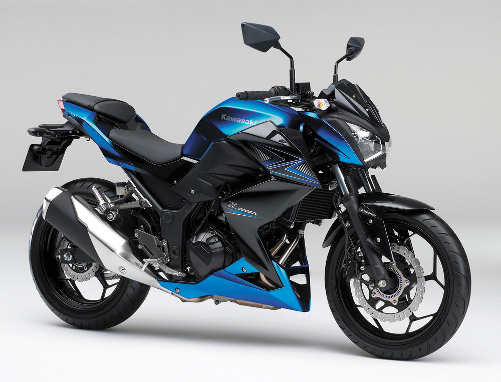 2015-2016 Kawasaki Z250 Z300 Fairing Kit