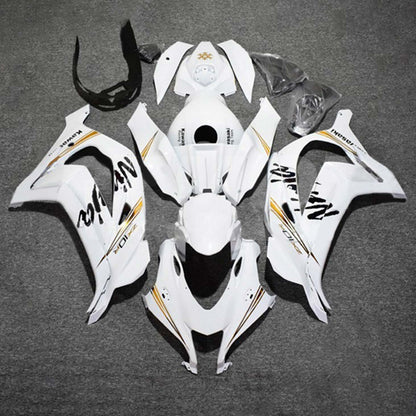 2016-2020 Kawasaki ZX10R Fairing Kit Bodywork Plastic ABS